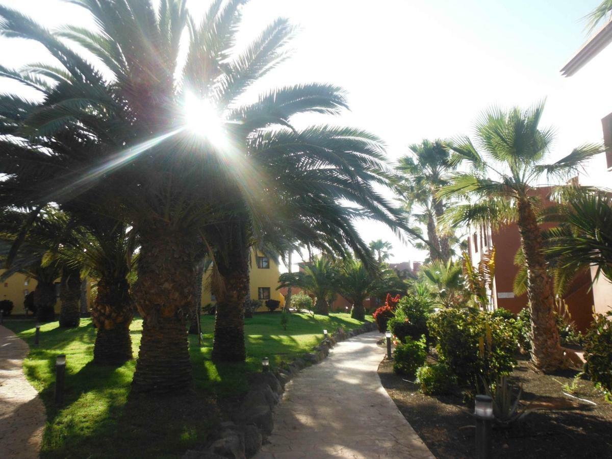 דירות קורלחו Oasis Vistamar מראה חיצוני תמונה